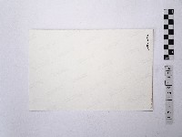 黃則修攝一名頭頂著鍋子的男性長者藏品圖，第2張