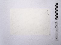 黃則修攝一名正在哺乳的女性藏品圖，第2張