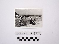 黃則修攝兩名戴著斗笠的人藏品圖，第1張