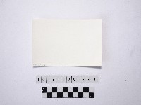 黃則修攝兩名戴著斗笠的人藏品圖，第2張