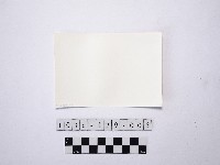 黃則修攝兩名戴著斗笠的人藏品圖，第2張