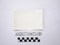 黃則修攝淺灘藏品圖，第2張