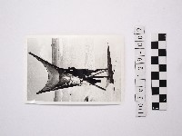 黃則修攝一名戴著斗笠的人藏品圖，第1張