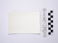 黃則修攝一名戴著斗笠的人藏品圖，第2張