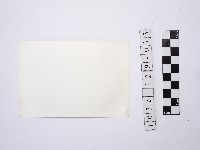 黃則修攝一名戴著斗笠的挑夫藏品圖，第2張