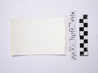 黃則修攝一名戴著斗笠的挑夫藏品圖，第2張