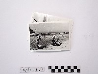 黃則修攝捕魚系列照片藏品圖，第1張