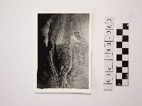 黃則修攝野柳地景藏品圖，第1張