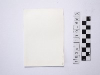 黃則修攝野柳地景藏品圖，第2張