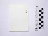 黃則修攝野柳地景藏品圖，第2張