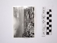 黃則修攝野柳地景藏品圖，第1張