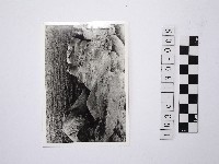 黃則修攝野柳地景燭臺石藏品圖，第1張