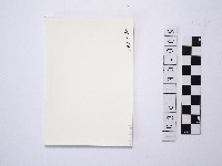 黃則修攝野柳地景燭臺石藏品圖，第2張