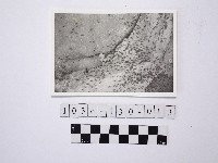 黃則修攝野柳地景藏品圖，第1張