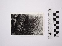 黃則修攝野柳地景藏品圖，第1張