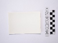 黃則修攝野柳地景藏品圖，第2張