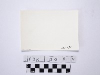 黃則修攝野柳地景藏品圖，第2張