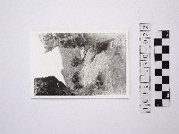 黃則修攝野柳地景藏品圖，第1張