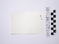 黃則修攝野柳地景藏品圖，第2張