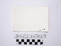 黃則修攝野柳地景藏品圖，第2張