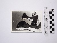 黃則修攝野柳地景藏品圖，第1張