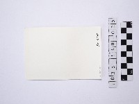 黃則修攝野柳地景藏品圖，第2張