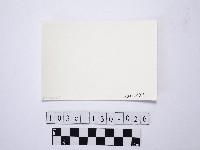 黃則修攝野柳地景藏品圖，第2張