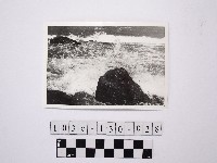 黃則修攝野柳地景藏品圖，第1張