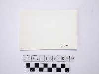 黃則修攝野柳地景藏品圖，第2張