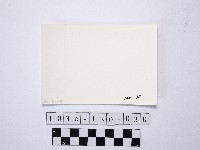 黃則修攝野柳地景藏品圖，第2張