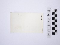 黃則修攝野柳地景藏品圖，第2張