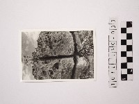 黃則修攝野柳地景藏品圖，第1張