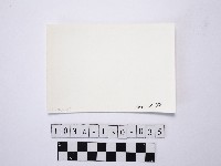 黃則修攝野柳地景藏品圖，第2張