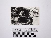 黃則修攝野柳地景藏品圖，第1張