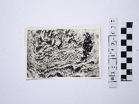 黃則修攝野柳地景藏品圖，第1張