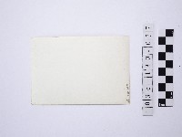 黃則修攝野柳地景藏品圖，第2張