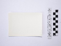 黃則修攝野柳地景藏品圖，第2張