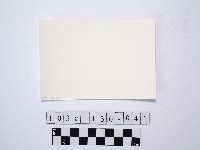 黃則修攝野柳地景藏品圖，第2張