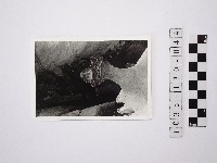 黃則修攝野柳地景藏品圖，第1張