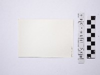 黃則修攝野柳地景藏品圖，第2張