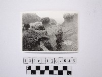 黃則修攝野柳地景藏品圖，第1張