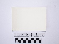 黃則修攝野柳地景藏品圖，第2張