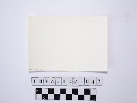 黃則修攝野柳地景藏品圖，第2張