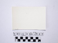 黃則修攝野柳地景藏品圖，第2張