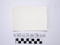 黃則修攝野柳地景藏品圖，第2張