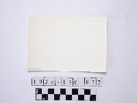 黃則修攝野柳地景藏品圖，第2張