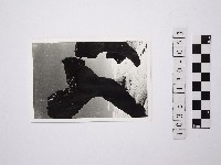 黃則修攝野柳地景藏品圖，第1張