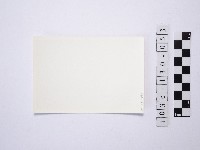 黃則修攝野柳地景藏品圖，第2張