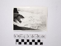 黃則修攝野柳地景藏品圖，第1張