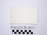 黃則修攝野柳地景藏品圖，第2張